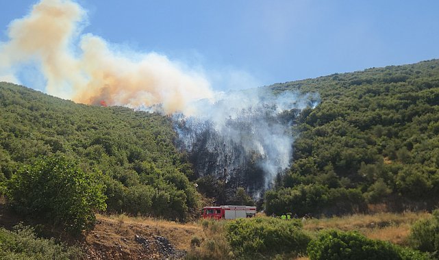 Bursa'da maki yangını