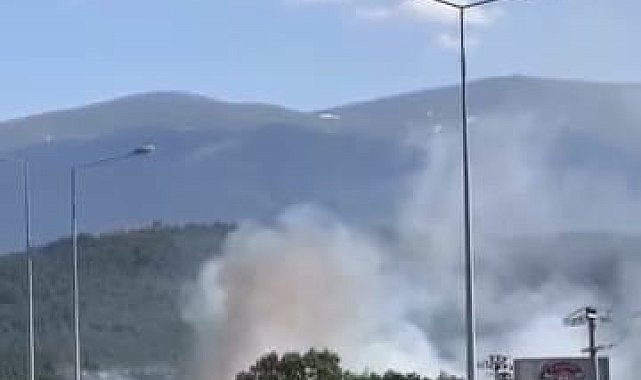 Bursa'da ot yangını; havadan ve karadan müdahale ediliyor