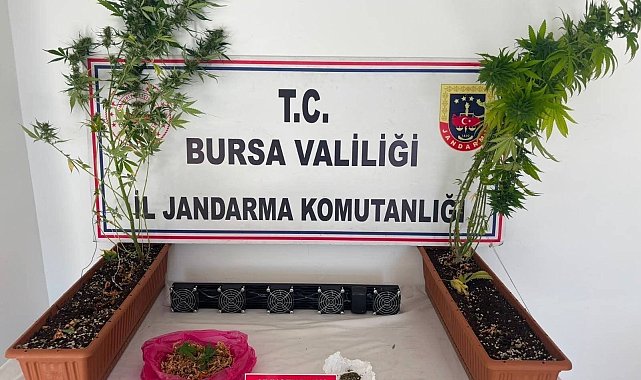 Bursa'da uyuşturucu operasyonu; 3 gözaltı