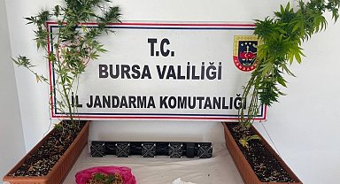 Bursa'da uyuşturucu operasyonu; 3 gözaltı