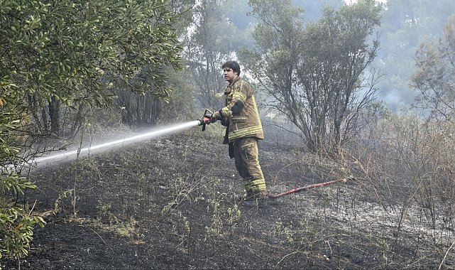 Bursa'da yangın; 4 dönüm alan zarar gördü