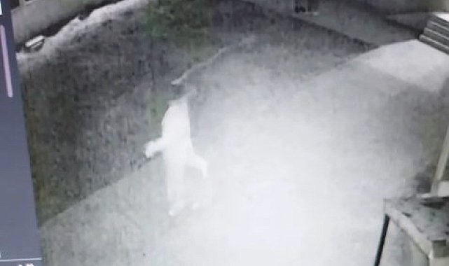 Cami avlusunda uygunsuz davranışlarda bulunan çifti uyaran imam darbedildi