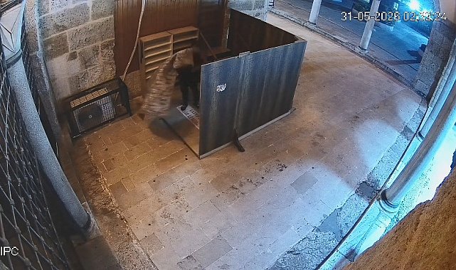 Camideki halıyı çalan şüpheli tutuklandı