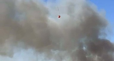 Çanakkale Biga'da tarım arazisinde yangın
