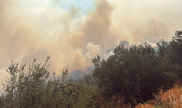 Çanakkale'de arazi yangını