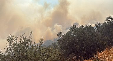 Çanakkale'de arazi yangını
