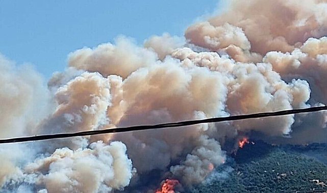 Çanakkale'de orman yangını