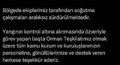 Çanakkale'de tarım arazisinde yangın