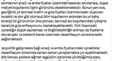 Cevdet Yılmaz: Enflasyonda aşağı yönlü ana eğilimin devam etmesi bekleniyor