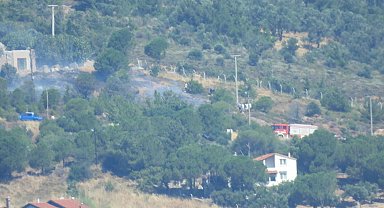 Cunda Adası'nda orman yangını