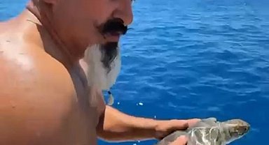Çuvala dolanan deniz kaplumbağası kurtarıldı