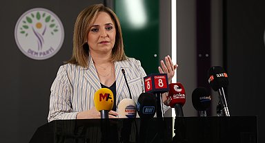 DEM Parti'li Doğan: Çerçeve yasayla ilgili mutabakat sağlandı