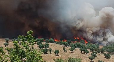 Diyarbakır'da 2 ayda çıkan yangınlarda 100 bin hektar alan zarar gördü