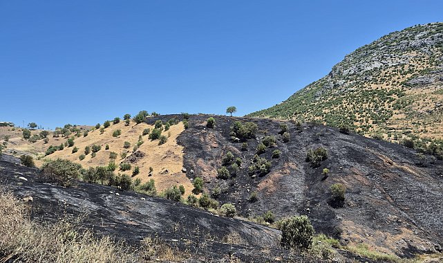 Diyarbakır'da örtü yangını