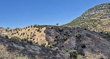 Diyarbakır'da örtü yangını