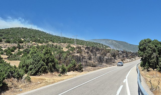 Eğirdir Gölü kenarında 2 noktada yangın