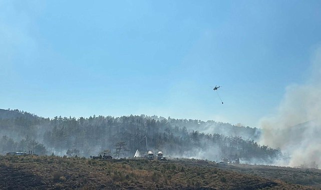 Fethiye'deki orman yangınının enerjisi düşürüldü