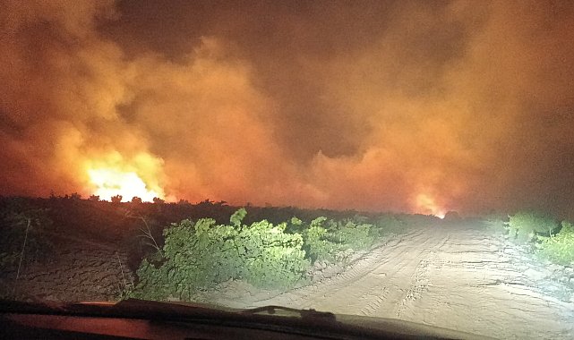 Gaziantep'te 400 dönüm alan ile 200 üzüm bağı yandı