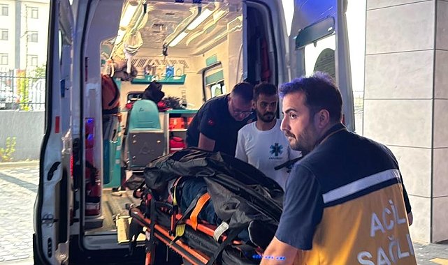 Havalı tüfekle komşusunu başından vurup yaraladı