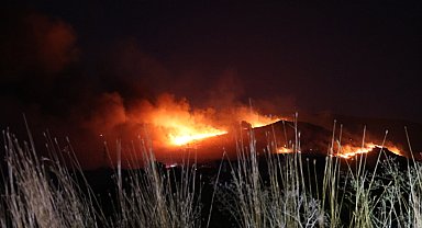 İzmir'de maki yangını