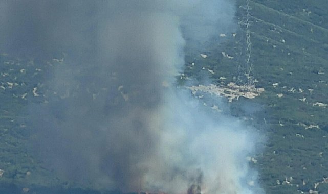 İzmir'de orman yangını