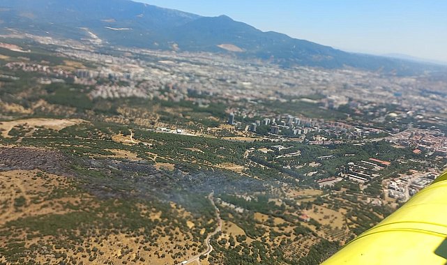 İzmir'de orman yangını
