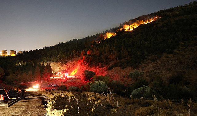 İzmir'de orman yangını