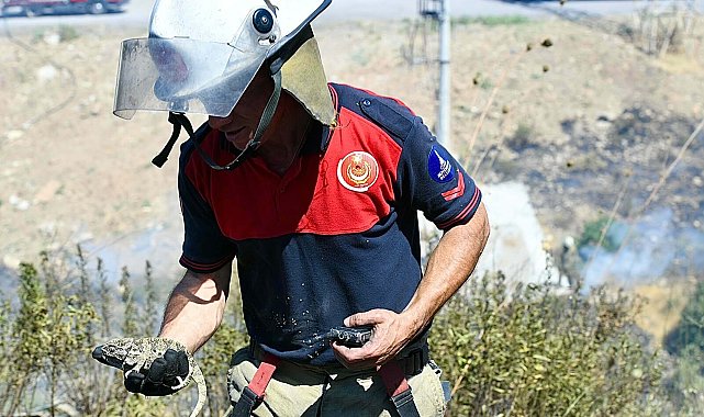 İzmir'de otluk alanda çıkan yangın, ormana sıçradı