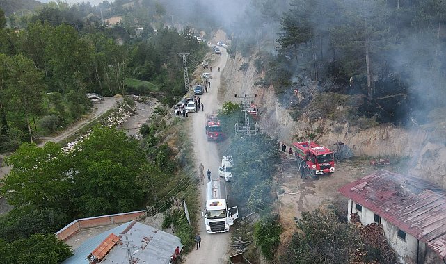 Kastamonu'da 6 hektar orman yandı
