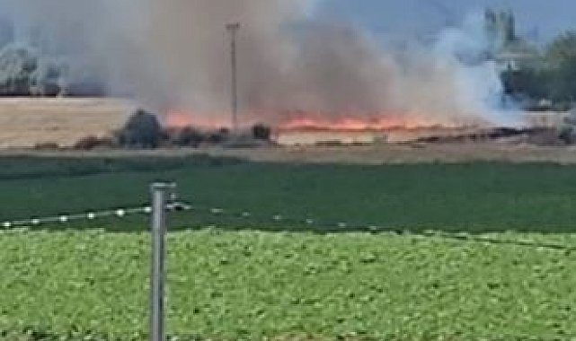 Kayseri'de anız yangını; 7 dönümlük alan zarar gördü