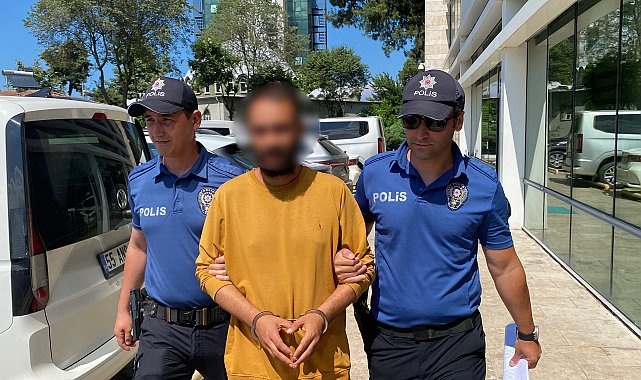 Kediye tekme atan şüpheli yakalandı