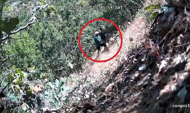Kenevirlerin bakımını yaparken fotokapana yakalanan CHP ilçe başkanı ve oğluna gözaltı