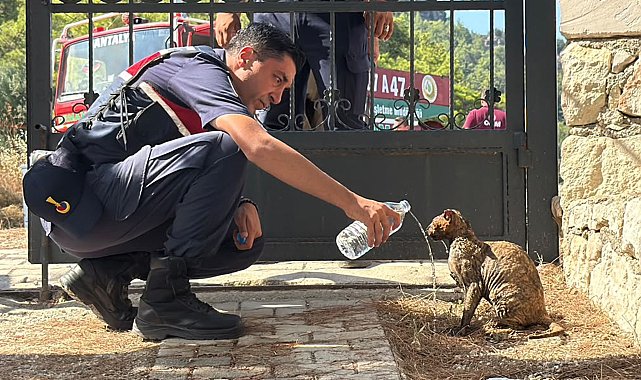 Kumluca'da orman yangını