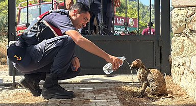 Kumluca'da orman yangını