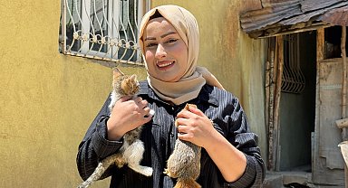 Kurtardığı sincap için evinde tırmanması için doğal alan oluşturdu