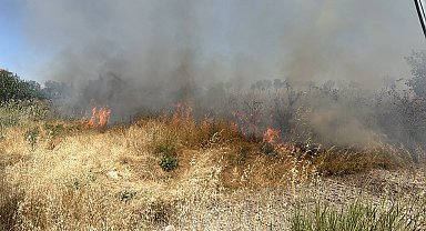 Kütahya'da otluk alanda yangın