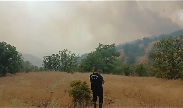 Malatya'da orman yangını