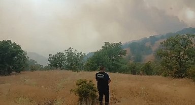 Malatya'da orman yangını