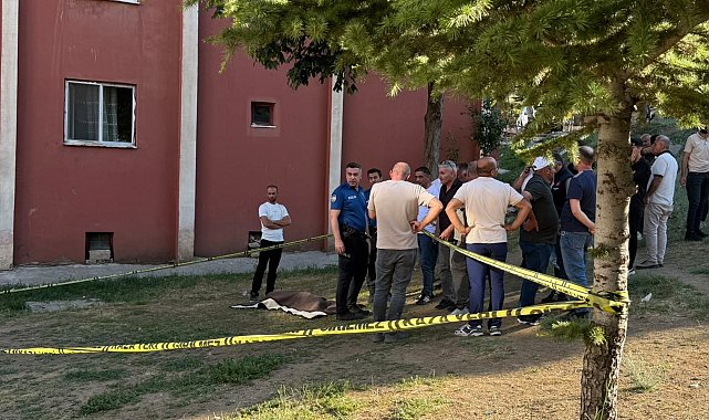 Manevra yapan ambulansın çarptığı Muhammet, hayatını kaybetti