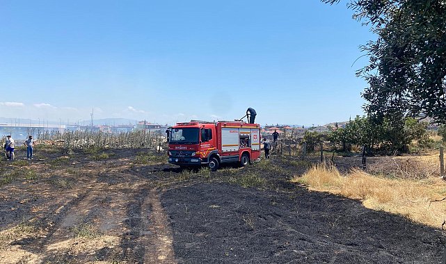 Manisa'da ot yangınında 50 dönüm alan zarar gördü