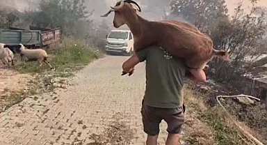 Muğla Seydikemer'deki orman yangınına havadan müdahale yeniden başladı