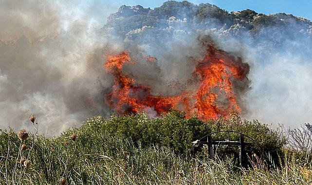 Muğla'da maki yangını; 2 dönüm alan zarar gördü