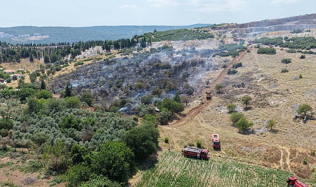 Muğla'da maki yangını; alevlerden kaçan kaplumbağa taşların arasına sığındı