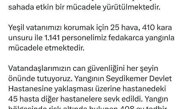Muğla'da orman yangını