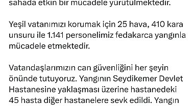 Muğla'da orman yangını