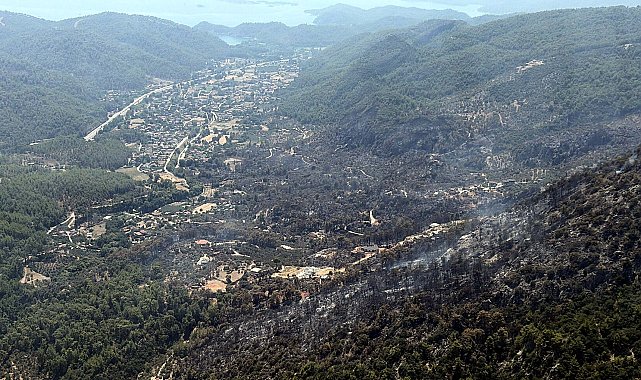 Muğla'daki orman yangını kontrol altına alındı; 350 hektar alan zarar gördü