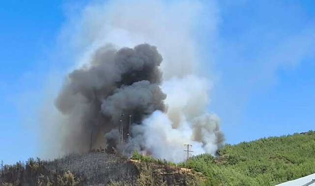 Muğla'daki yangınlarda 5 bin hektardan fazla alan zarar gördü