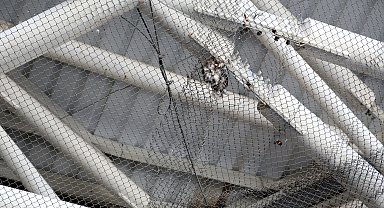 Nekropol Müzesi'nde kuşların ölümüne neden olan tel örgülere önlem