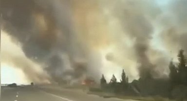 Nusaybin'de mayınlı sınır hattında anız yangını