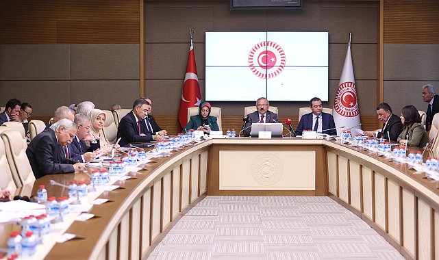 Okul Olaylarını Araştırma Komisyonu'ndaki vekillerden 'bireysel silahların sınırlandırılması' önerisi